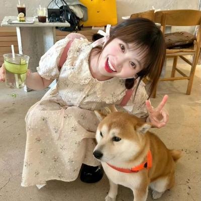 传教士第四季